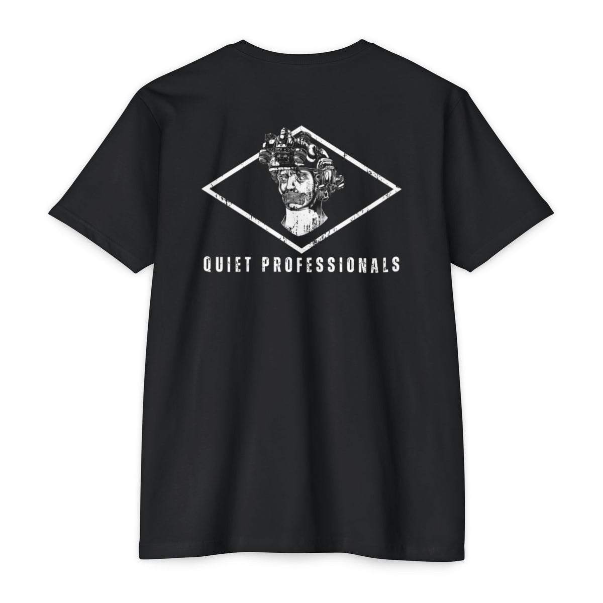 Quiet Professionals